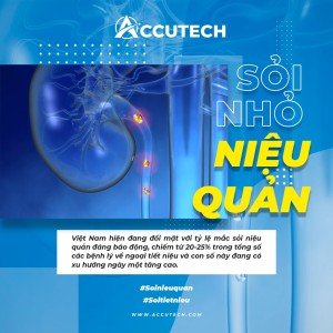 sỏi nhỏ ở niệu quản 01